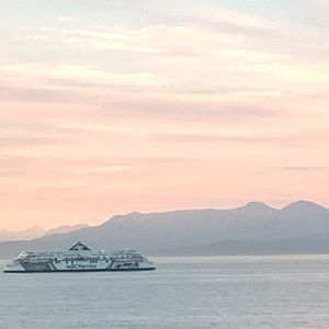 Meet your Posher, Paige